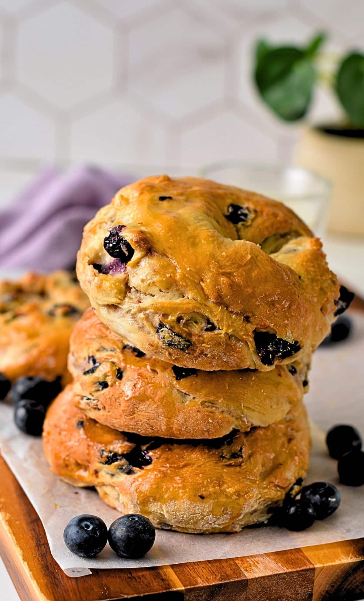 BAGEL Blueberry Creation Food Company BAGEL Blueberry Creation Food Company