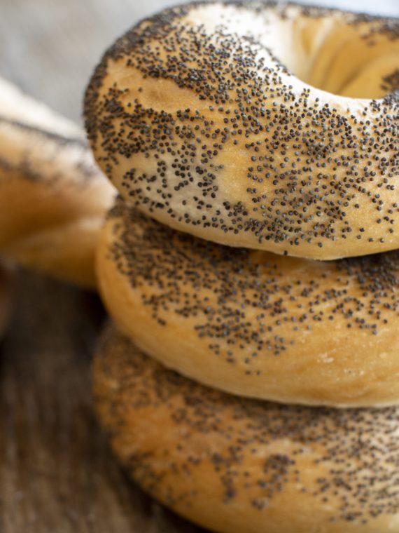 BAGEL-Poppyseed